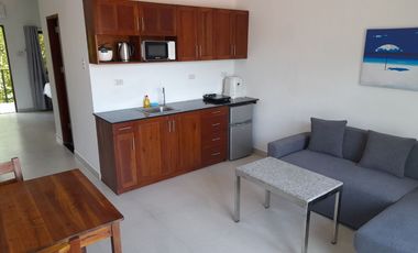 Executive Condo in Panglao Bohol