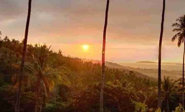tanah dengan pemandangan laut dan sunset di pemenang dekat pelabuhan bangsal