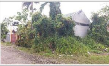 House & Lot for sale in PLARIDEL HEIGHTS SUBD Isabela : OK for FINANCING