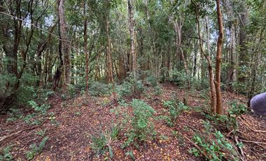 Hermosa parcela en primera línea vista al mar, Quillaipe, Carretera Austral