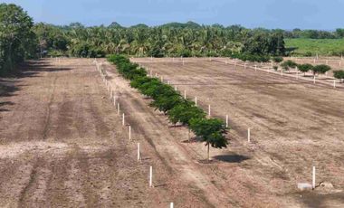 TERRENOS CERCA DE PUERTO ESCONDIDO / CERCA DEL AEROPUERTO Y DE PLAYA