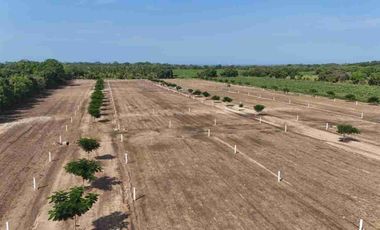 TERRENOS CERCA DE PUERTO ESCONDIDO / CERCA DEL AEROPUERTO Y DE PLAYA
