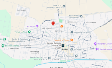 Casa en Venta – De Los Maestros 159, Municipal, Ameca, Jalisco