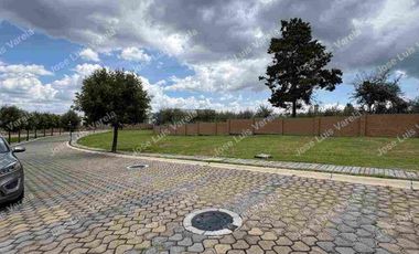 VENTA TERRENO Parque Sofía Lomas de Angelópolis