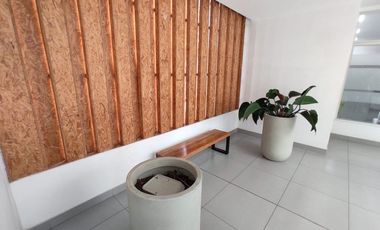 local comercial de alquiler en portoviejo