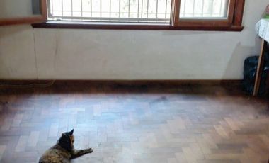 EXCELENTE PROPIEDAD EN JOSÉ C. PAZ