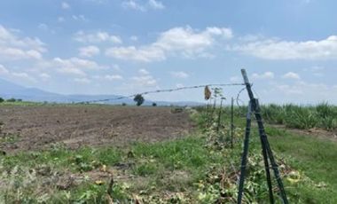 Carretera a Tala, Santa Cruz de las Flores