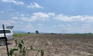 Carretera a Tala, Santa Cruz de las Flores