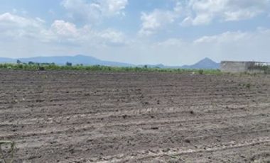 Carretera a Tala, Santa Cruz de las Flores