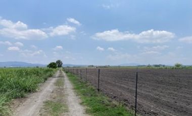 Carretera a Tala, Santa Cruz de las Flores