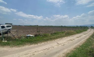 Carretera a Tala, Santa Cruz de las Flores