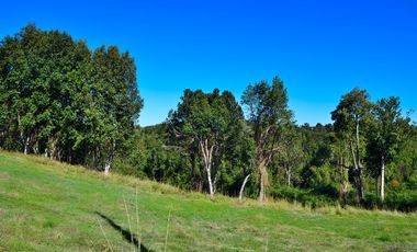 GRAN OFERTA SOLO NOVIEMBRE, PARCELAS REBAJADAS, DESDE 19 A 29 MILLONES CON LUZ, AGUA Y FIBRA ÓPTICA YA INSTALADA, LISTAS PARA CONSTRUIR