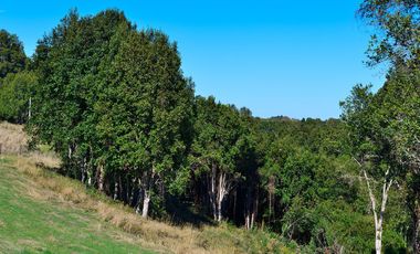 GRAN OFERTA SOLO NOVIEMBRE, PARCELAS REBAJADAS, DESDE 19 A 29 MILLONES CON LUZ, AGUA Y FIBRA ÓPTICA YA INSTALADA, LISTAS PARA CONSTRUIR