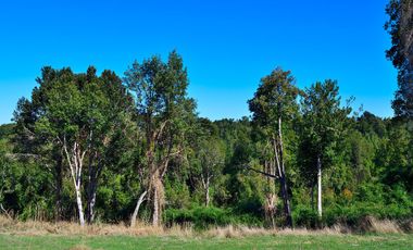 GRAN OFERTA SOLO NOVIEMBRE, PARCELAS REBAJADAS, DESDE 19 A 29 MILLONES CON LUZ, AGUA Y FIBRA ÓPTICA YA INSTALADA, LISTAS PARA CONSTRUIR