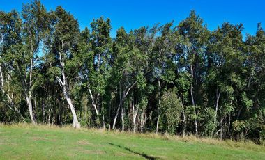GRAN OFERTA SOLO NOVIEMBRE, PARCELAS REBAJADAS, DESDE 19 A 29 MILLONES CON LUZ, AGUA Y FIBRA ÓPTICA YA INSTALADA, LISTAS PARA CONSTRUIR