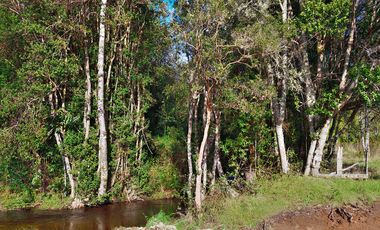PARCELA REBAJADA CON ESTERO, LUZ, AGUA Y FIBRA ÓPTICA YA INSTALADA, LISTAS PARA CONSTRUIR