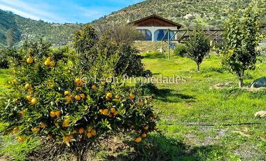 Leon Propiedades vende Parcela con casa en El Pangal, sector Alhué, Curacaví.