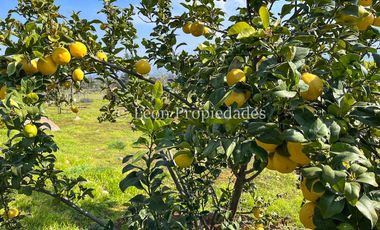 Leon Propiedades vende Parcela con casa en El Pangal, sector Alhué, Curacaví.