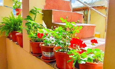 CASA - AMBATO San Antonio, Ambato, Ecuador