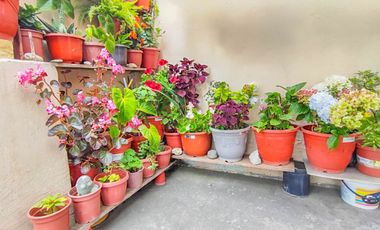 CASA - AMBATO San Antonio, Ambato, Ecuador