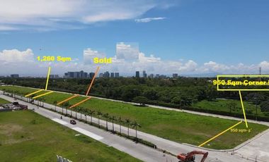 Front Row Commercial Lot For Sale Along Daang Hari Road Las Piñas Metro Manila Near Madrigal Business Park