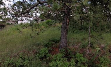 Terrenos en Aculco, Pueblo Mágico – Ideal para Cabañas o Casa de Descanso