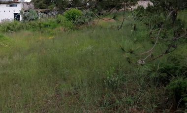 Terrenos en Aculco, Pueblo Mágico – Ideal para Cabañas o Casa de Descanso