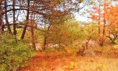 Terrenos en Aculco, Pueblo Mágico – Ideal para Cabañas o Casa de Descanso