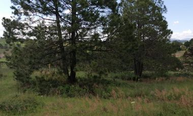 Terrenos en Aculco, Pueblo Mágico – Ideal para Cabañas o Casa de Descanso