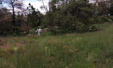 Terrenos en Aculco, Pueblo Mágico – Ideal para Cabañas o Casa de Descanso