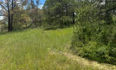Terrenos en Aculco, Pueblo Mágico – Ideal para Cabañas o Casa de Descanso