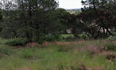 Terrenos en Aculco, Pueblo Mágico – Ideal para Cabañas o Casa de Descanso