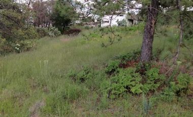Terrenos en Aculco, Pueblo Mágico – Ideal para Cabañas o Casa de Descanso