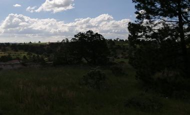Terrenos en Aculco, Pueblo Mágico – Ideal para Cabañas o Casa de Descanso