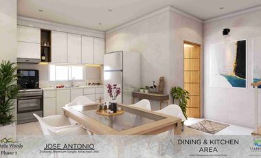 Newest Preselling Modern 3-Storey House and Lot for Sale in Cebu City 𝐄𝐬𝐭𝐞𝐥𝐥𝐞 𝐖𝐨𝐨𝐝𝐬 𝐑𝐞𝐬𝐢𝐝𝐞𝐧𝐜𝐞𝐬 𝐏𝐡𝐚𝐬𝐞 𝟐