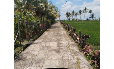 For Sale : 3-Bedroom Villa with Rice Field / Green Belt View – Tabanan - VSKHE