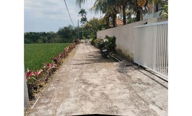 For Sale : 3-Bedroom Villa with Rice Field / Green Belt View – Tabanan - VSKHE