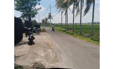 For Sale : 3-Bedroom Villa with Rice Field / Green Belt View – Tabanan - VSKHE