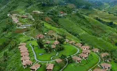 Jual Tanah Berkabut di Kawasan Wisata Alam Dekat Sentul