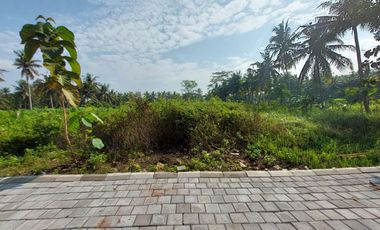 Tanah Murah Strategis, 5 Menit ke Bandara YIA