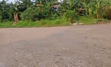 Disewakan Kavling Dibekasi,  potensi pertumbuhan yang menjanjikan