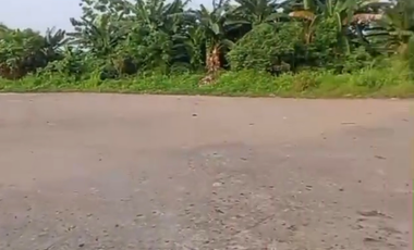 Disewakan Kavling Dibekasi,  potensi pertumbuhan yang menjanjikan