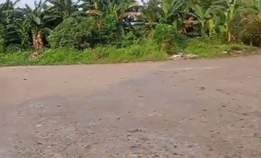 Disewakan Kavling Tanah Siap Pakai Berlokasi Strategis Di Bekasi