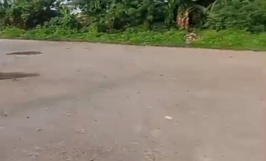 Disewakan Kavling Tanah Siap Pakai Berlokasi Strategis Di Bekasi