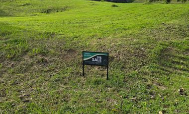 🗝 Turnkey Real Estate: Luxury Edition  📌 FOR SALE: AYALA WESTGROVE HEIGHTS — 5 LOTS