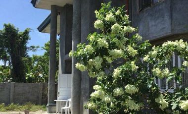 Lot:800 sqm. 2 Storey house. (Reinforced concrete)