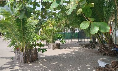 Half Price and so many options