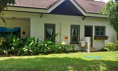 Half Price and so many options