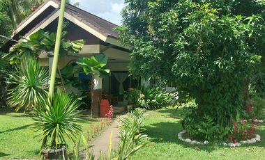 Half Price and so many options