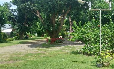 Half Price and so many options